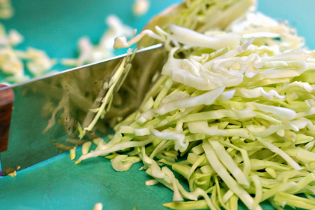 Southwest Slaw